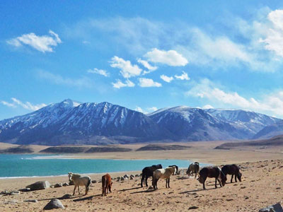 Car Rental in Ladakh